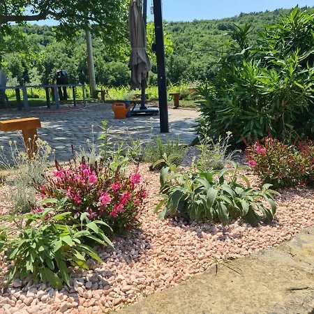 Vila Vila Platana Ankaran